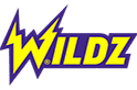 wildz-casino logo small